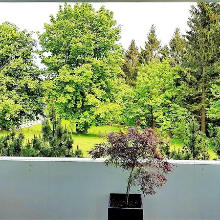 Grossdorf Ferienwohnung Waldsuite Im Harz Goslar Exterior photo
