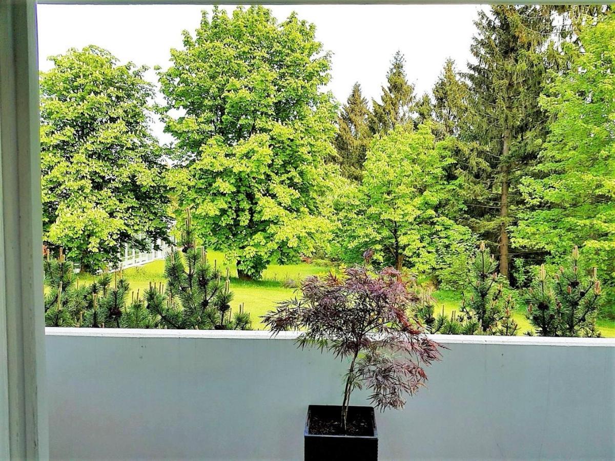 Grossdorf Waldsuite Im Harz
