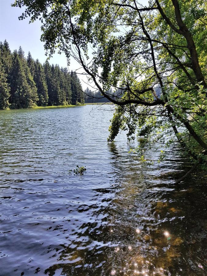 Apartment Grossdorf Waldsuite Im Harz *