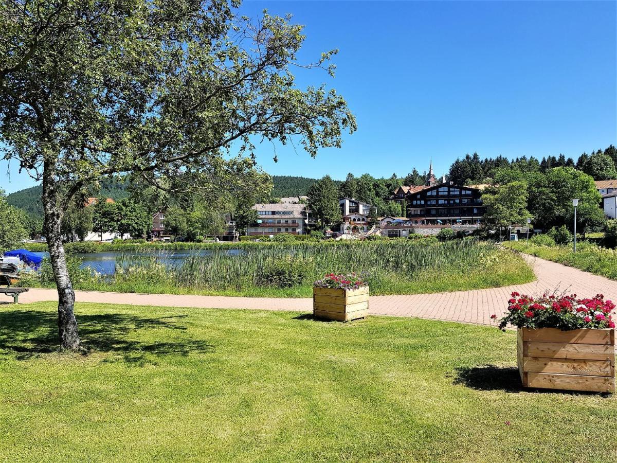 Grossdorf Waldsuite Im Harz * Goslar