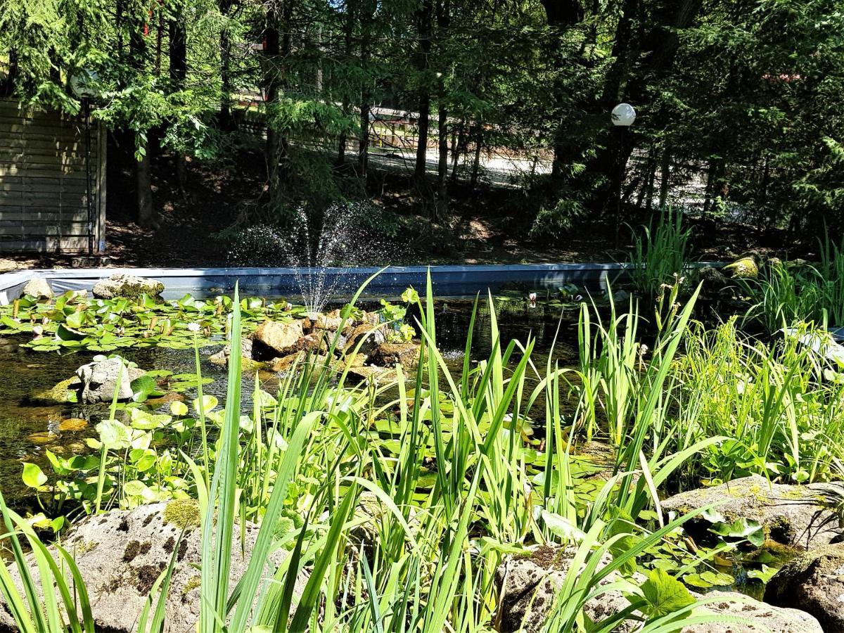 Apartment Grossdorf Waldsuite Im Harz *