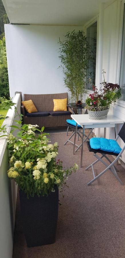 Grossdorf Waldsuite Im Harz * Goslar